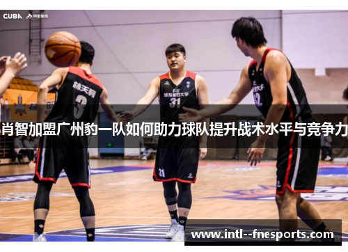 肖智加盟广州豹一队如何助力球队提升战术水平与竞争力