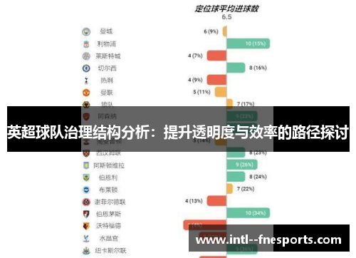 英超球队治理结构分析：提升透明度与效率的路径探讨